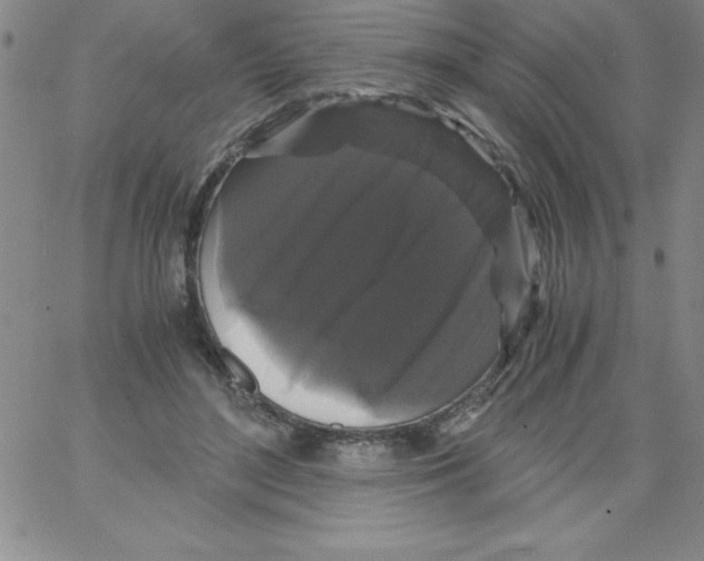 X0000066110500200604071851