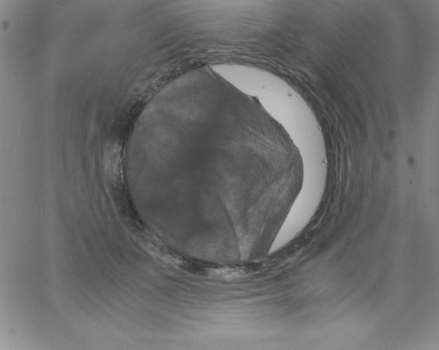 X0000066110511200604071850