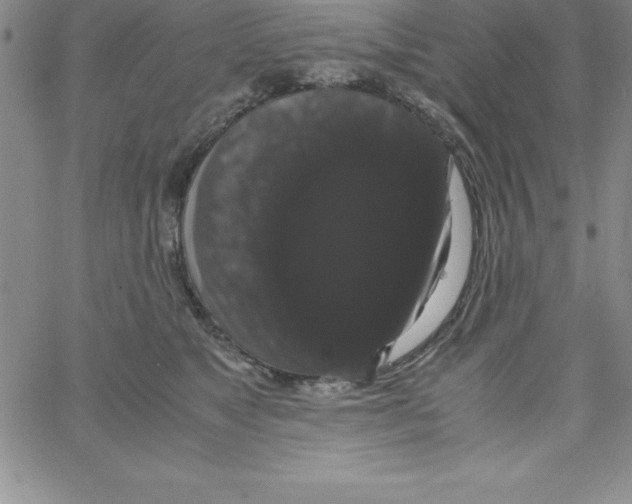 X0000066110517200604071850