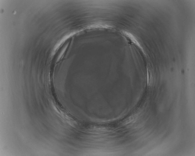 X0000066110531200604071849