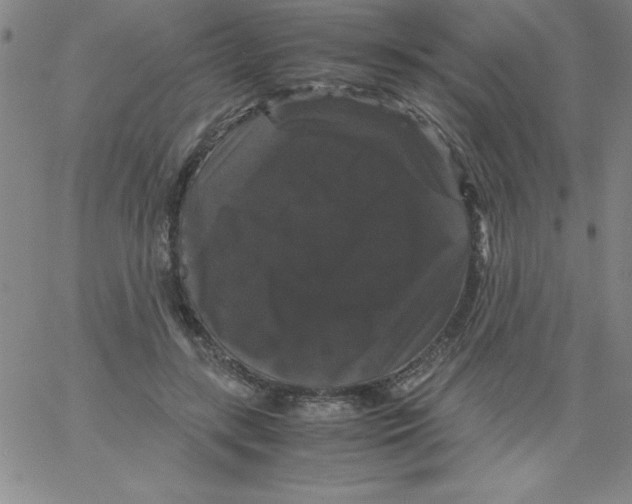 X0000066110547200604071850