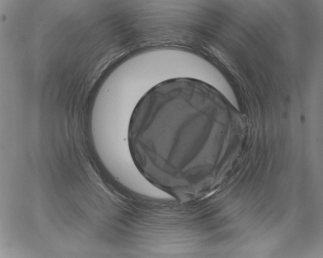 X0000066110548200604071850