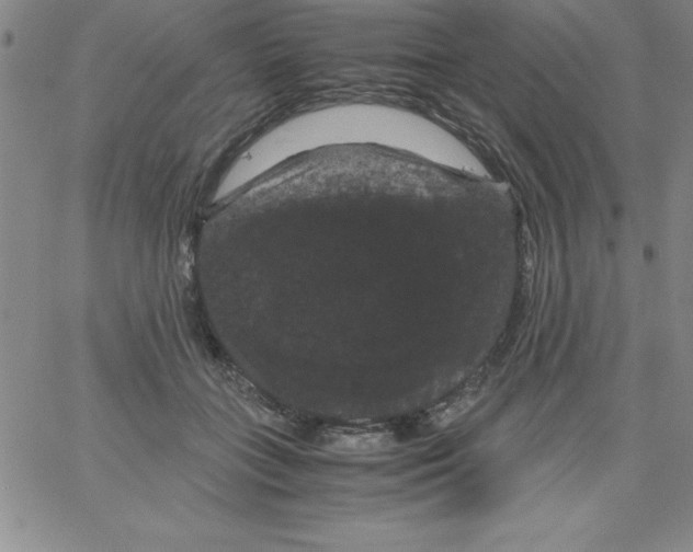 X0000066110555200604071850
