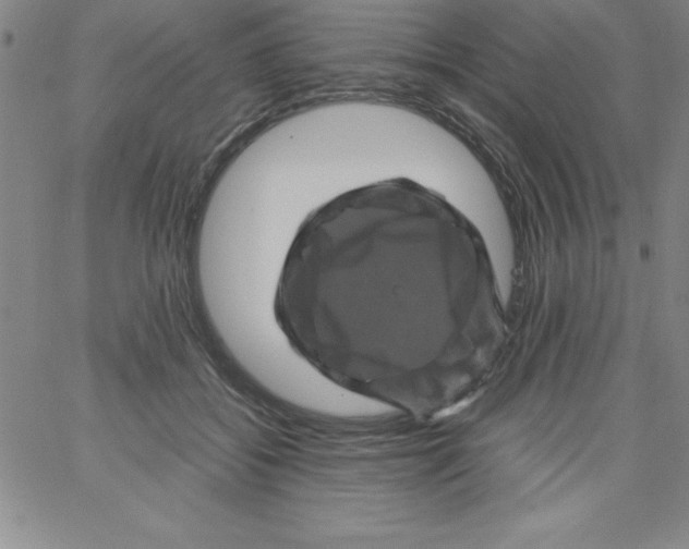 X0000066110556200604071850