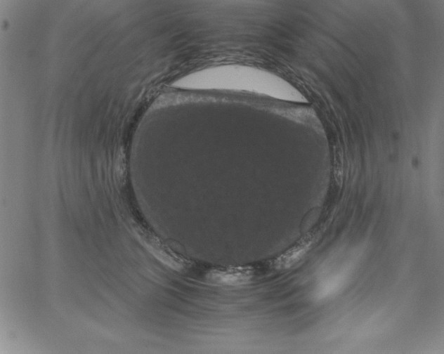 X0000066110563200604071850