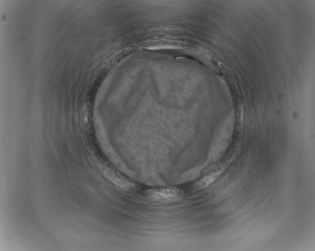 X0000066110567200604071850