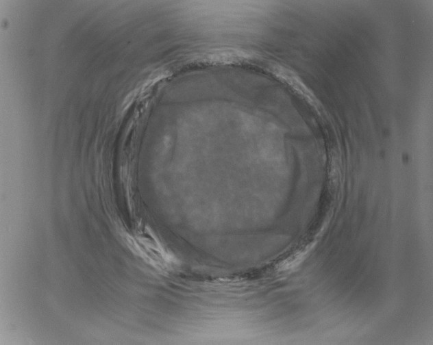 X0000066110585200604071849