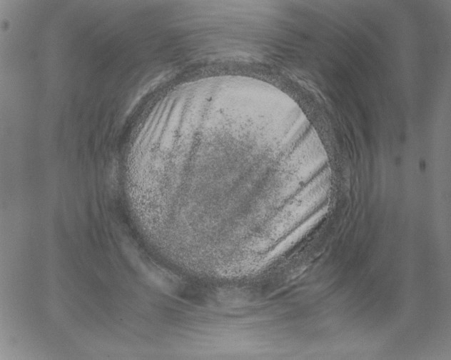 X0000066110591200604071849