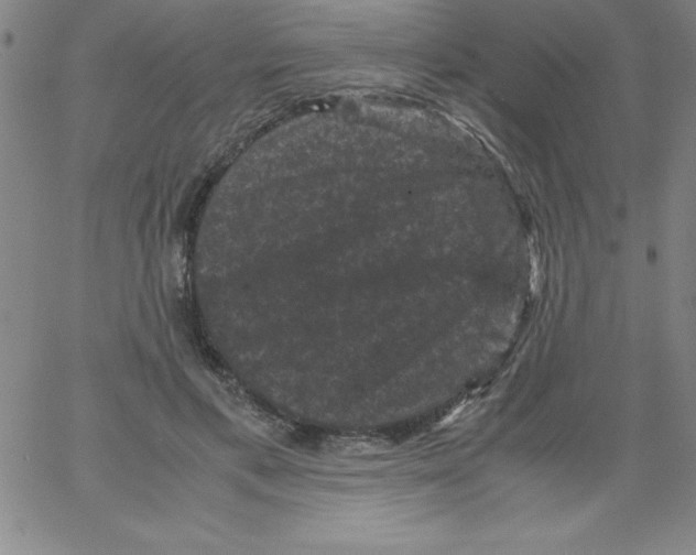 X0000066110597200604071849