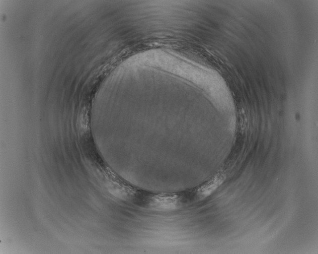 X0000066110606200604071849