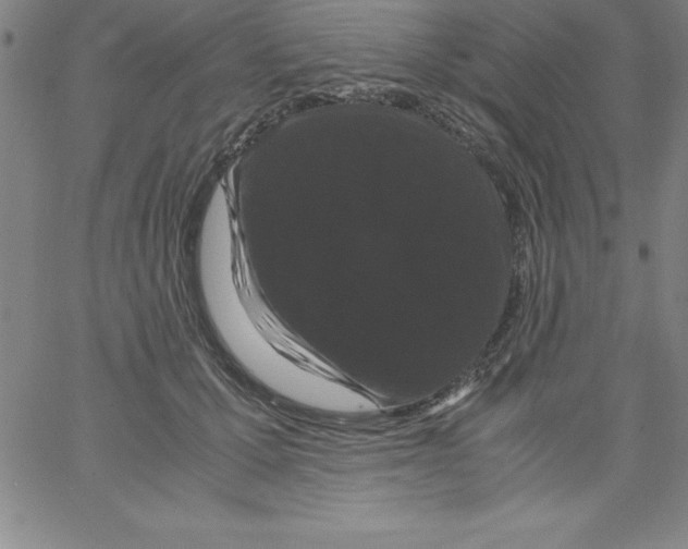 X0000066110607200604071849