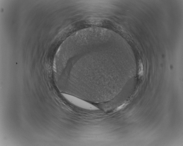X0000066110609200604071849