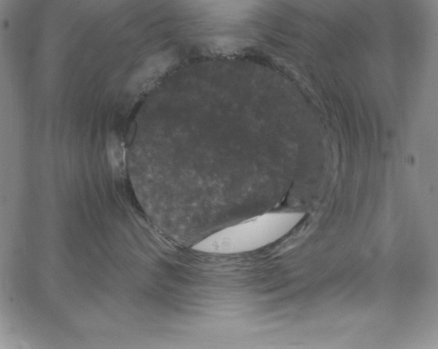 X0000066110624200604071849