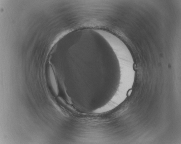X0000066110626200604071848