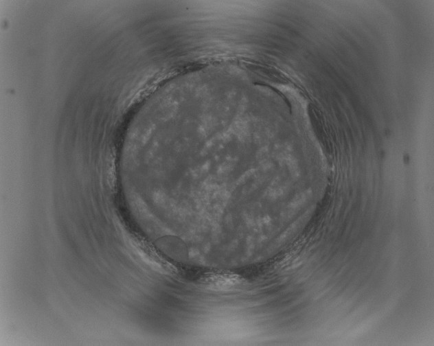 X0000066110642200604071848