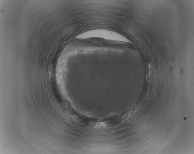 X0000066110647200604071848