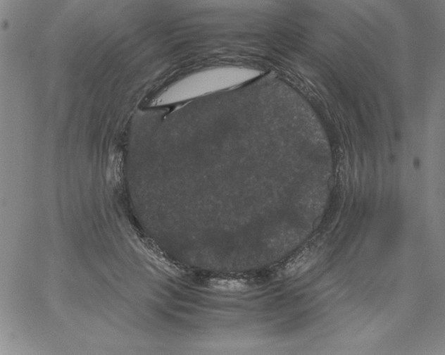 X0000066110649200604071848