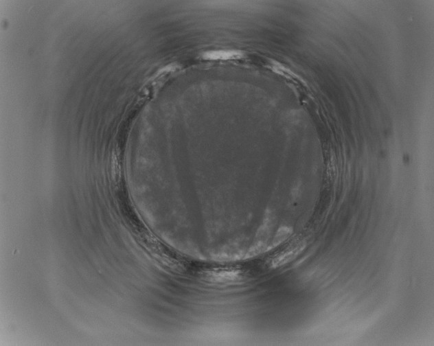 X0000066110651200604071848
