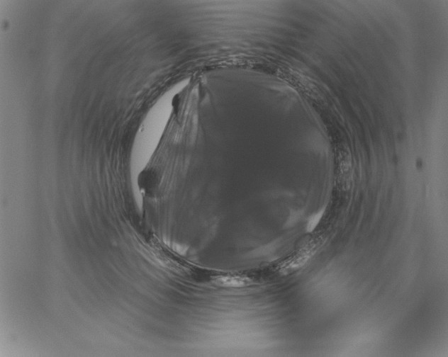 X0000066110654200604071848