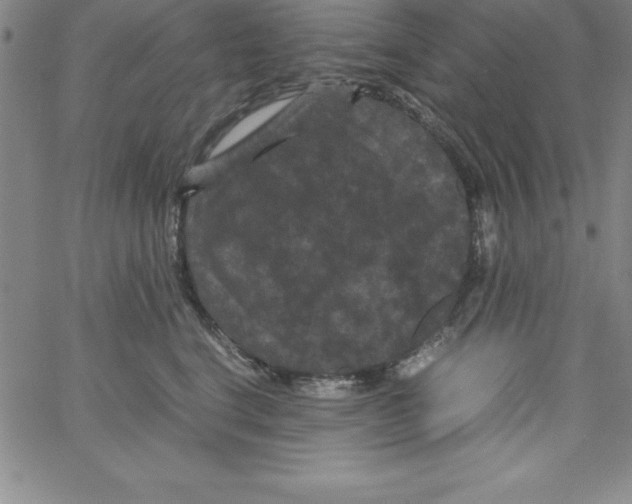 X0000066110664200604071848