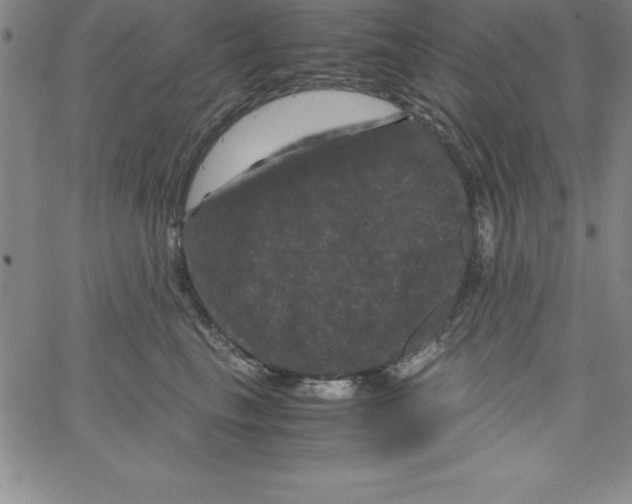 X0000066110665200604071848