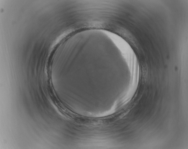 X0000066110674200604071848