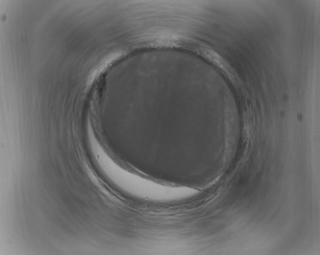 X0000066110677200604071848