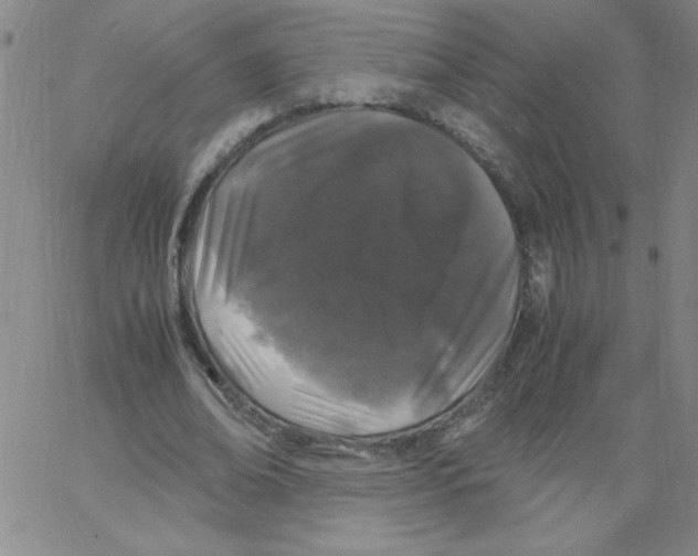 X0000066110678200604071848