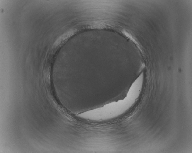 X0000066110681200604071848