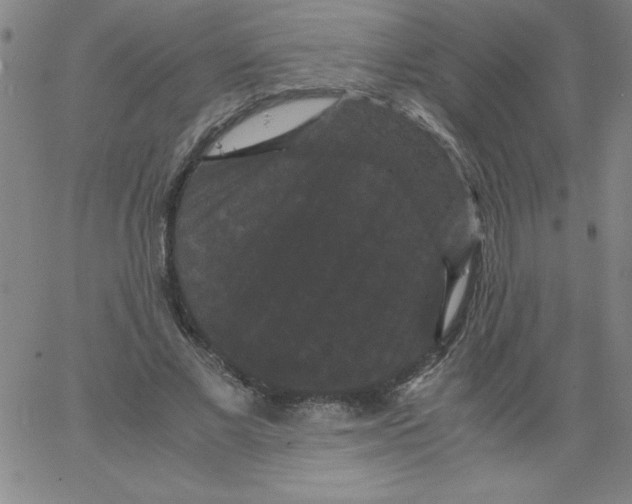 X0000066110685200604071848