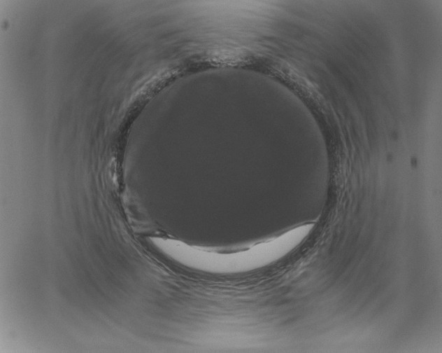 X0000066110689200604071847
