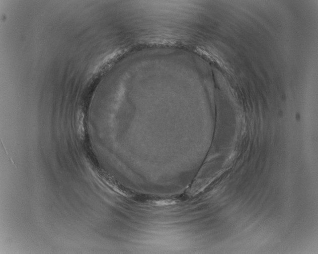 X0000066110692200604071847