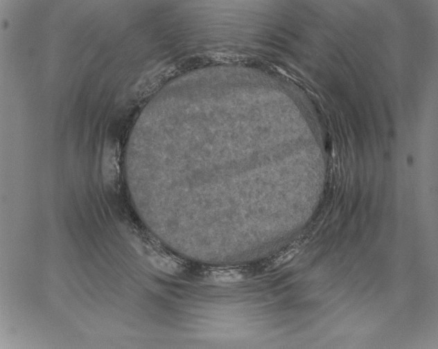 X0000066110702200604071847
