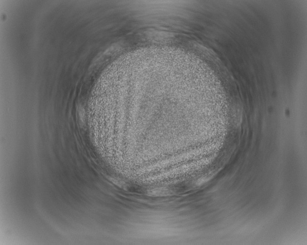 X0000066110705200604071847