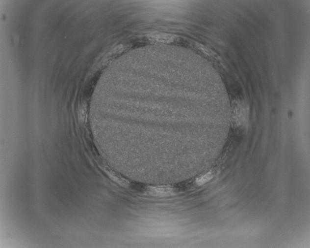X0000066110713200604071847