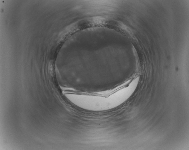X0000066110715200604071847