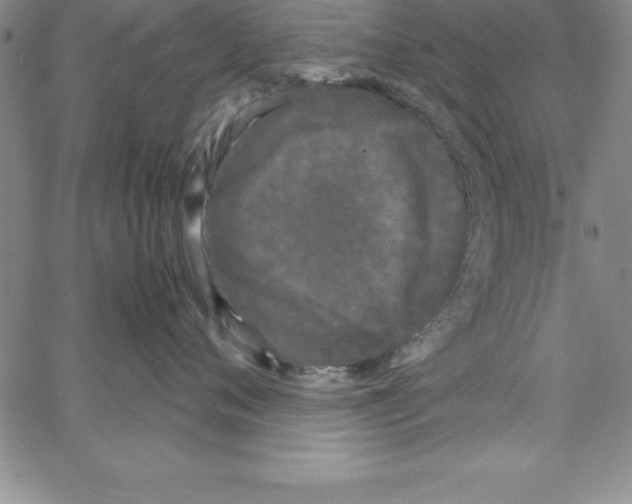 X0000066110720200604071847
