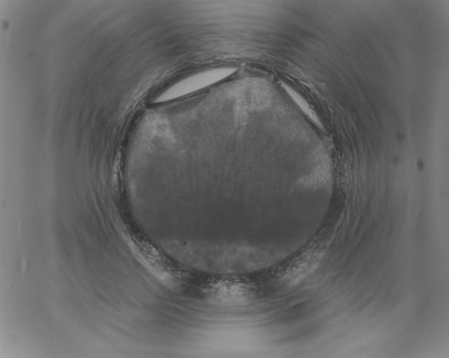 X0000066110742200604071847