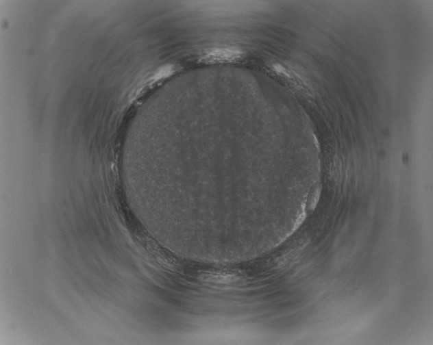 X0000066110743200604071847