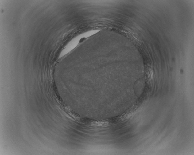 X0000066110745200604071847