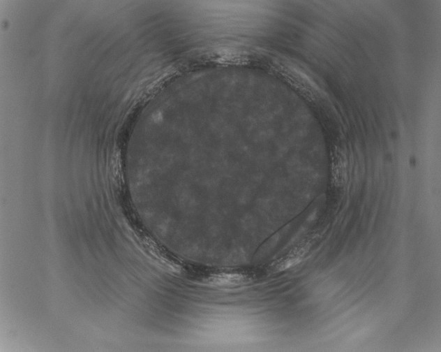 X0000066110748200604071847