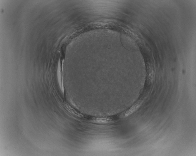 X0000066110758200604071847