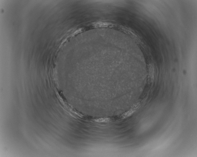 X0000066110761200604071847