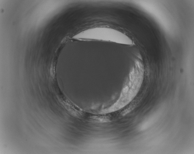 X0000066110763200604071847