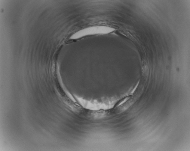 X0000066110767200604071847