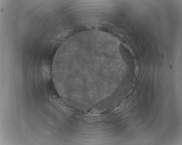X0000066110772200604071846