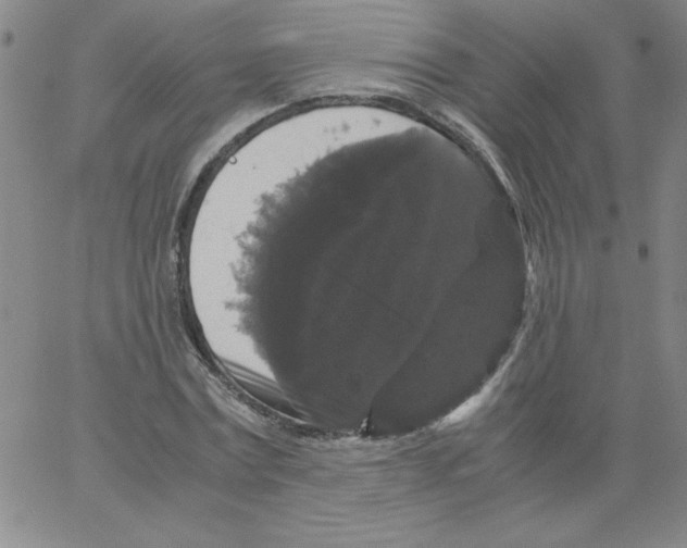 X0000066110779200604071846