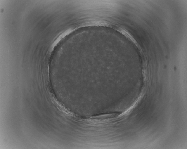 X0000066110781200604071846