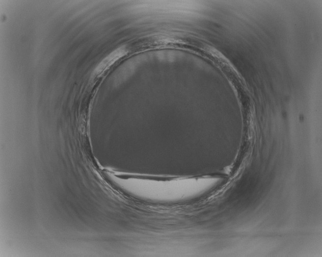 X0000066110785200604071846