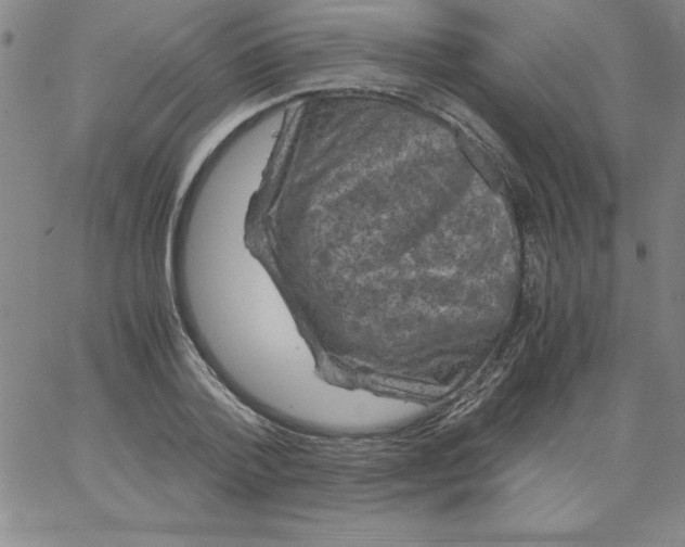 X0000066110788200604071846